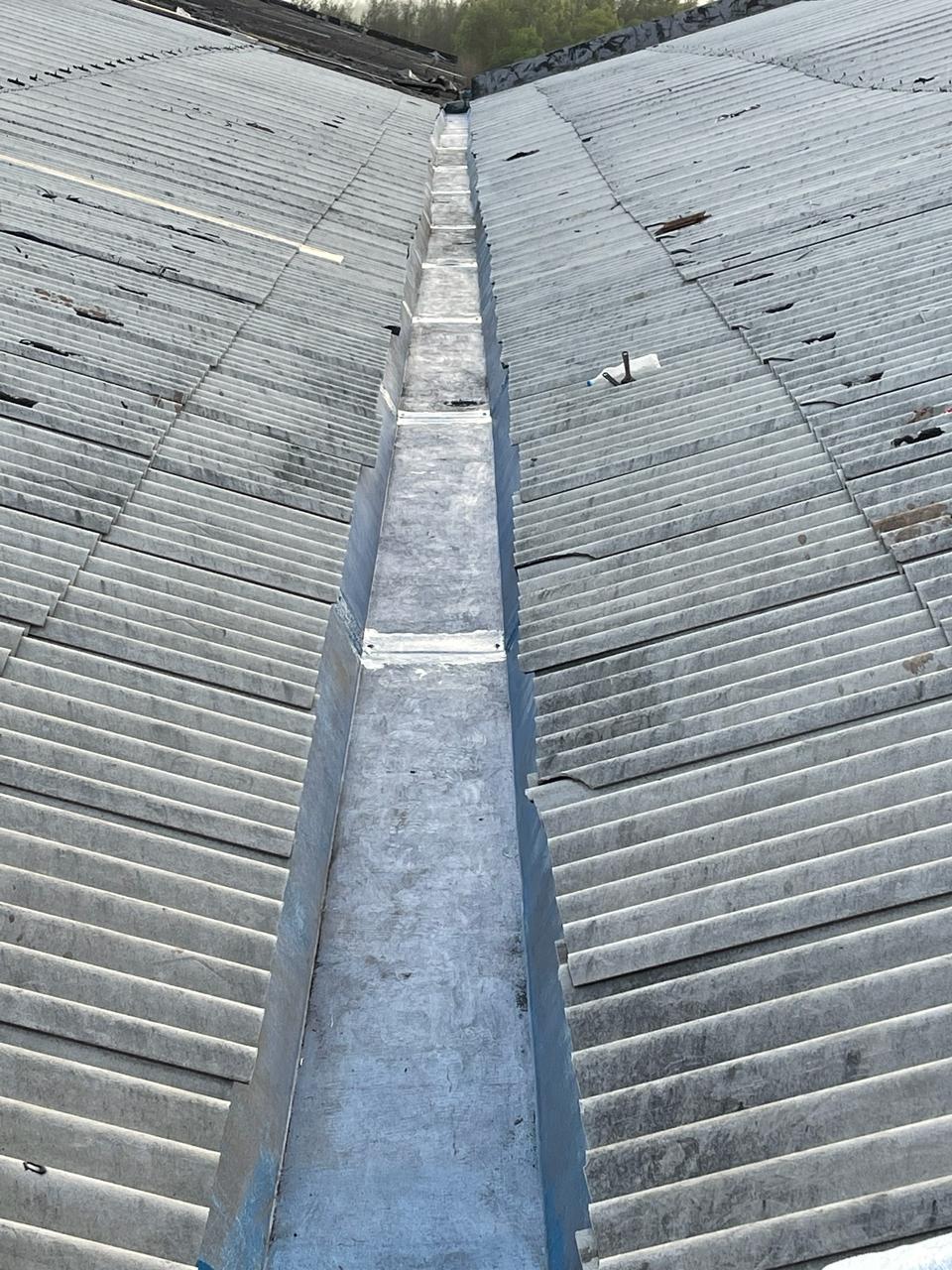 WhatsApp Image 2024-01-22 at 2.14.27 PM (1)